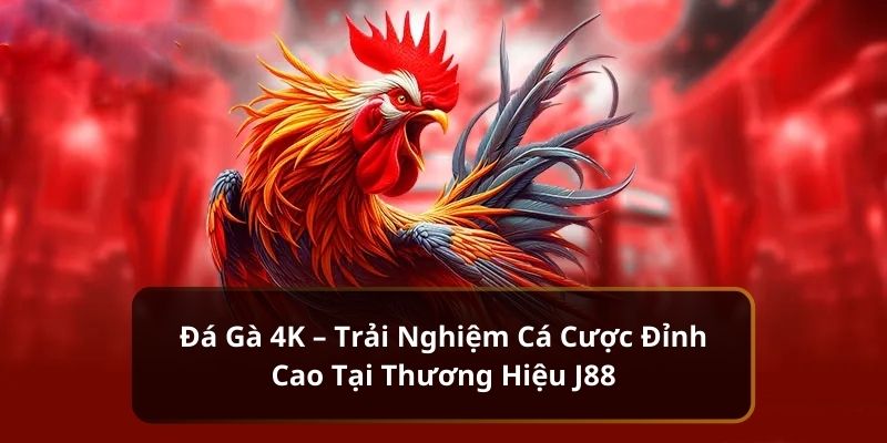 Đá gà 4K mang lại điều gì cho khách hàng?
