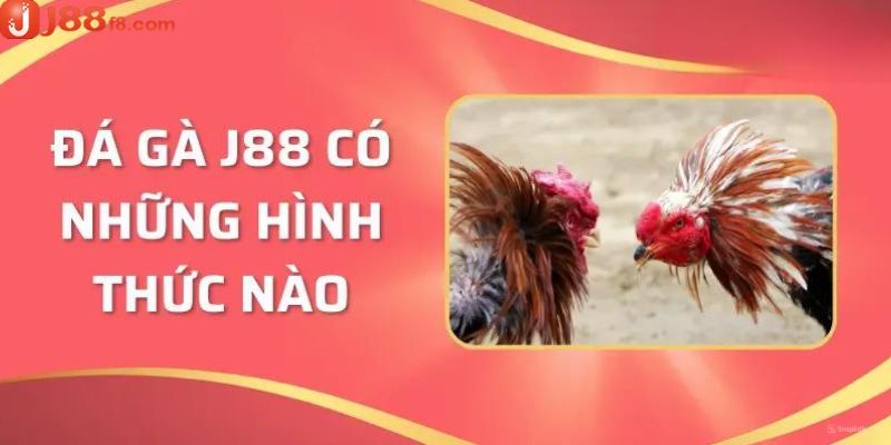 hinh-thuc-da-ga-cua-da-ga-j88
