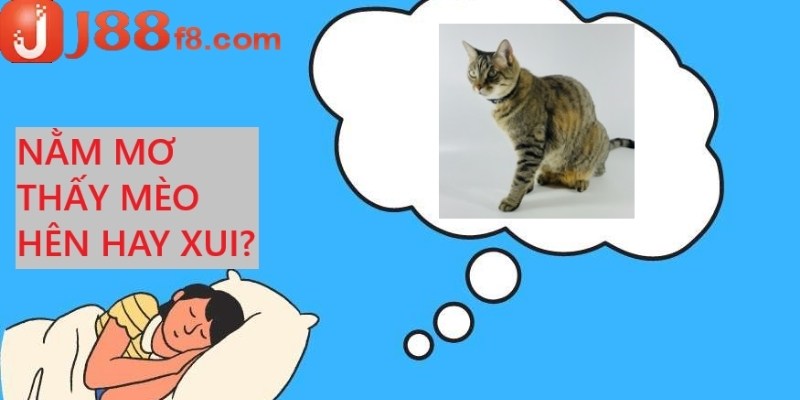 mơ thấy mèo là điềm gì